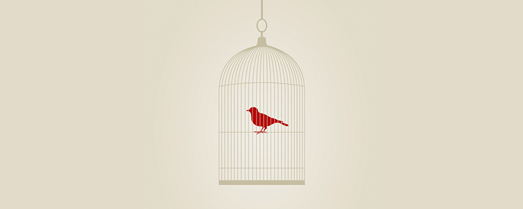 手机号轰在线网页版入口